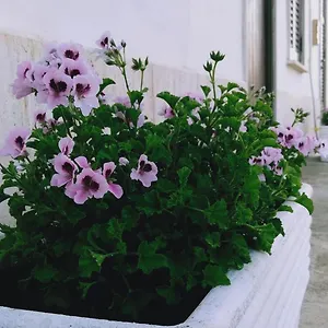 Casa vacanze Casa Maria Bartolomeo, Marsala